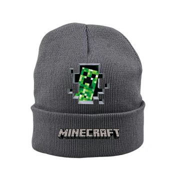 Minecraft Cap Wool Winter Beanie Skull Cap Embroidery Cuffed Hat